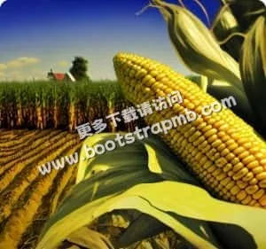 打造您的专属足球互动社区 - 2026世界杯